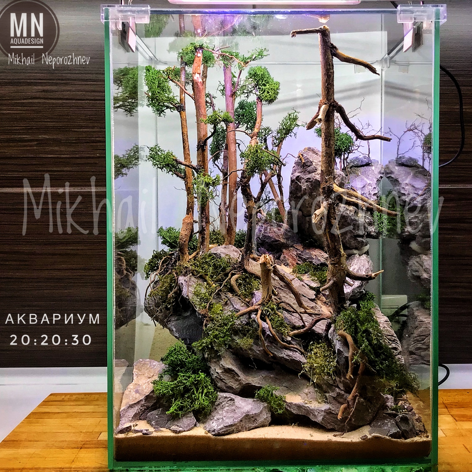 Интерьерные композиции 