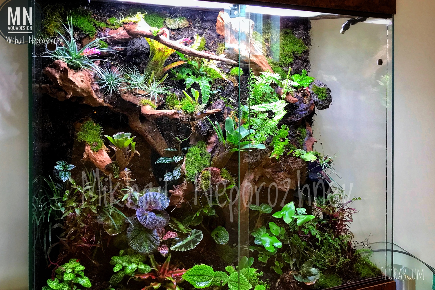 Флорариумы 